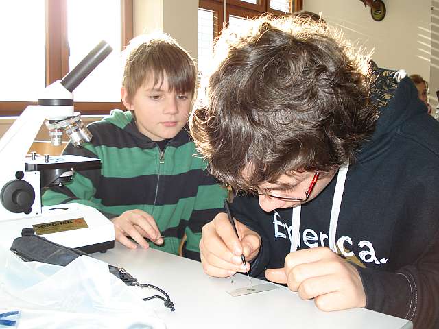Oliver, Moritz