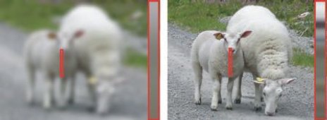 links: unscharf - wenig Kontrast<br />rechts: scharf - hoher Kontrast