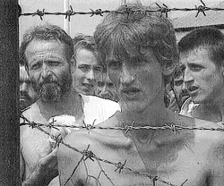 Das Foto, das als KZ-Beweis rund um die Welt ging. Aufmacher der Daily Mail: Der Beweis. Hinter dem Stacheldrahtzaun die brutale Wahrheit über das Leiden in Bosnien